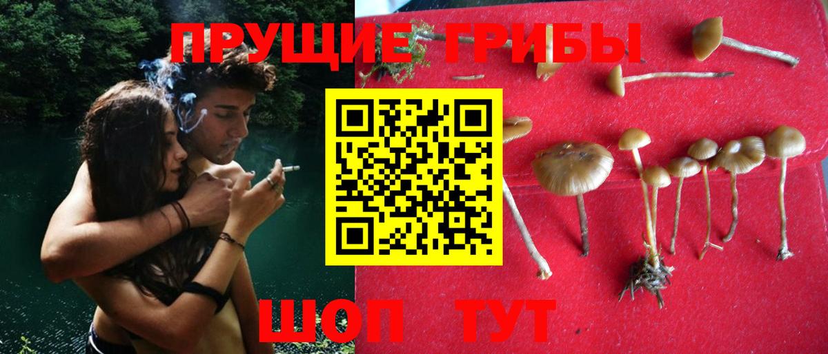 Псилоцибиновые грибы GOLDEN TEACHER Балашиха
