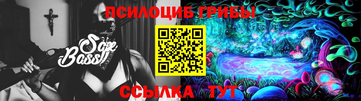 Галлюциногенные грибы Psilocybe  Вход с VPN  Балашиха  Псилоцибиновые грибы прущие грибы 